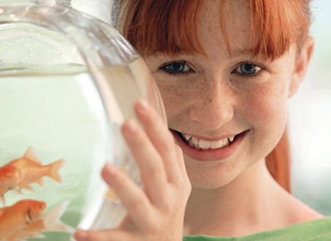 How To Care For Your Betta Fish