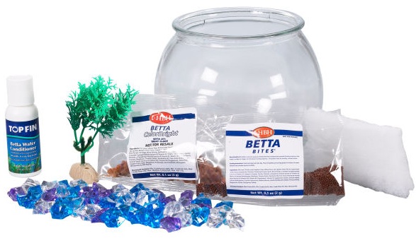 Cleaning Your Betta Tank