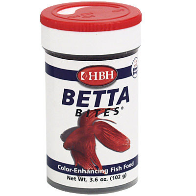 Feeding Betta Fish