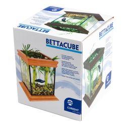 Preparing The Betta Fish Tank