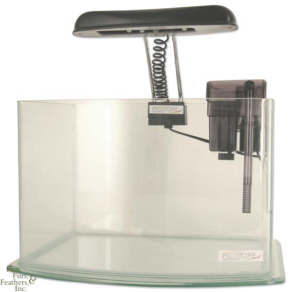 Aquarium Water Temperature