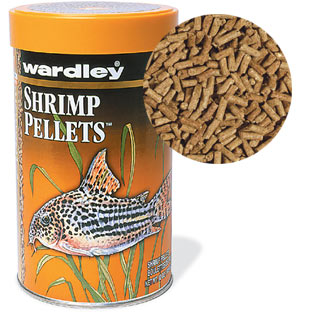 What Betta Fish Like To Eat